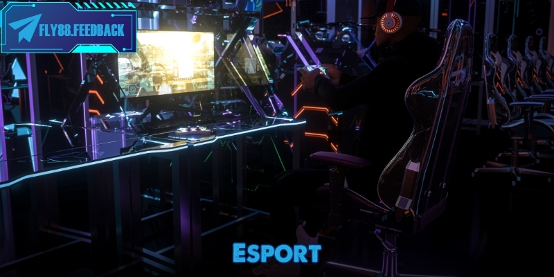 esport-ava