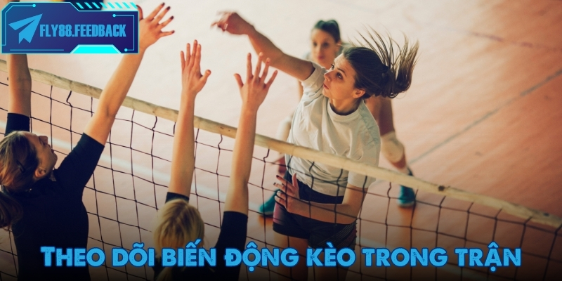 Theo dõi biến động kèo khi trải nghiệm cá cược thể thao Fly88